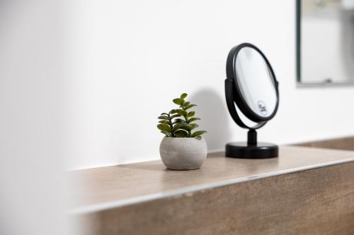 a plant in a vase sitting on a counter with a mirror at Apartments am Neuen Theater - Altstadt - Zentral - Küche - Wifi - Powered by Ko-Living in Halle an der Saale