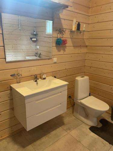 uma casa de banho com um lavatório branco e um WC. em Tilhi 1 Cottage em Piojärvi