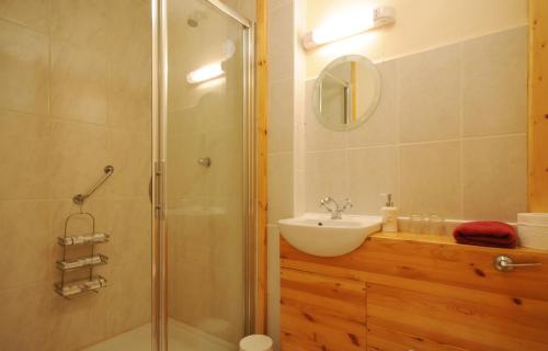 a bathroom with a shower and a sink at Lough Dan House in Oldbridge