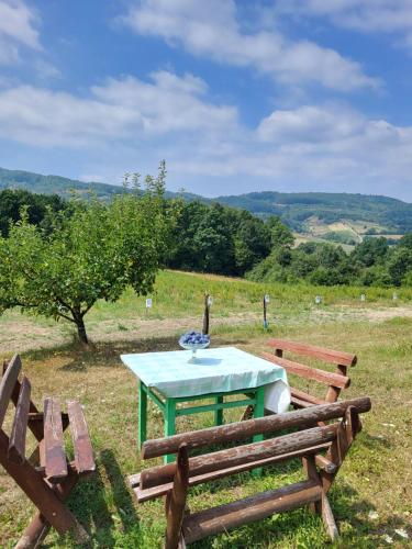 a picnic table and two benches in a field at Venera in Kosjerić