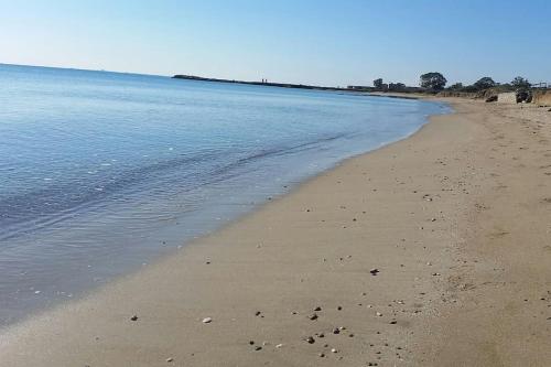 a sandy beach with water and trees in the background at Villa Splash in Boğaz