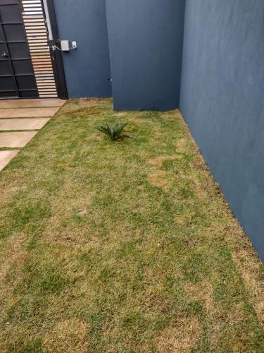 a plant in the grass next to a building at Casa Premium em Bonito - Linda e Confortável in Bonito