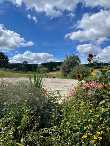 a field of flowers with a blue sky and clouds at Luises Ferienglück in Vernawahlshausen