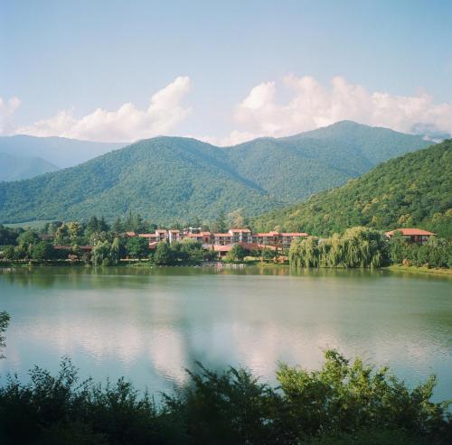 a scenic view of a lake with mountains at Lopota Lake Resort & Spa in Napareuli