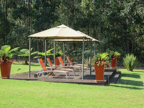 a gazebo with chairs and an umbrella in a yard at Schneiders Boutique Hotel in White River