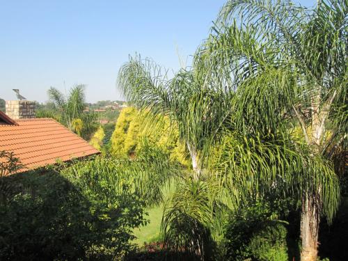 a group of palm trees next to a house at Schneiders Boutique Hotel in White River