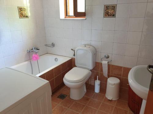 a bathroom with a toilet and a tub and a sink at Vila Pasiphae in Arménoi