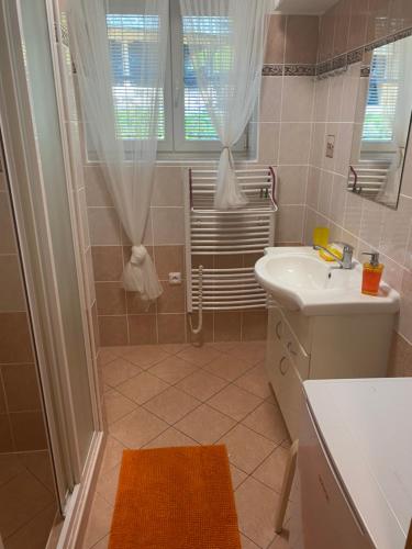 y baño con lavabo, aseo y ducha. en Apartmán Meluzína en Staré Hamry