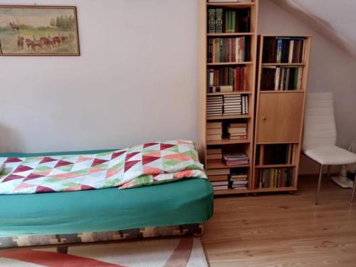 a living room with a couch and a book shelf at ROMANOWKA in Reda