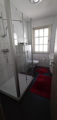 a bathroom with a glass shower and a toilet at Silvia Hüls in Kröv