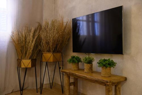 The In Town Apartment - With a Private Terrace