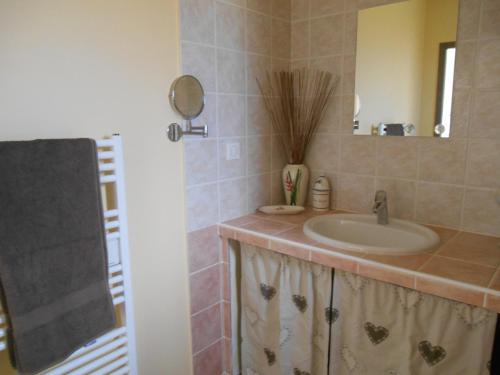 Blauvac的住宿－樂卡班尼阿芒迪娜艾特加布里埃爾度假屋，一间带水槽和镜子的浴室