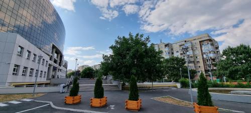 a group of trees in a parking lot in a city at Central Residence in Ploieşti