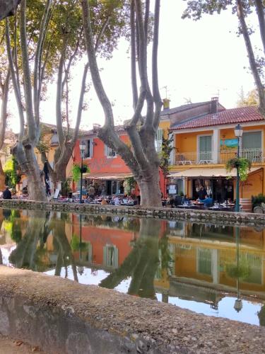 a reflection of trees in a body of water at A l'Ombre de la Dame in Cucuron