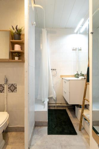 une salle de bain avec une douche, des toilettes et un lavabo dans l'établissement Studio cosy à proximité du centre ville, à Aix-en-Provence