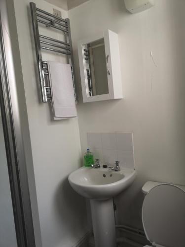 y baño con lavabo, aseo y espejo. en Spacious Entire Flat,1D en Great Yarmouth