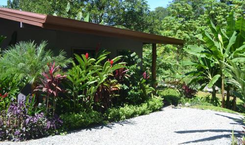 a garden with plants next to a house at Casitas Del Rio Riverfront Nature Lodge in Uvita
