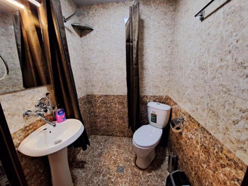 een badkamer met een toilet en een wastafel bij Aisi2 in Koetaisi