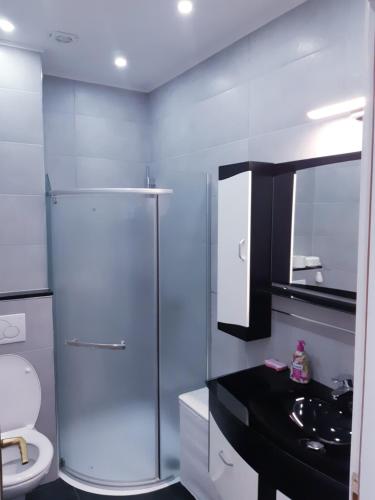 La salle de bains est pourvue d'une douche, d'un lavabo et de toilettes. dans l'établissement apartman Dani, à Derventa