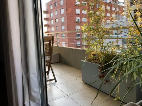 a balcony with a chair and plants and a window at Ubicación Exclusiva en Palermo c/ Piscina in Buenos Aires