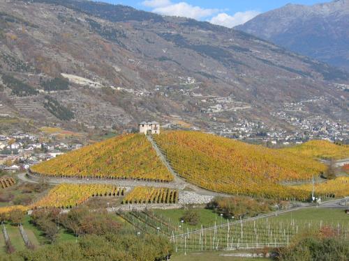 a vineyard with a building on top of a hill at Hotel Rendez-Vous - Aymavilles in Aymavilles