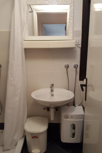 a bathroom with a sink and a toilet and a mirror at Apartments by the sea Cove Pokrivenik, Hvar - 5224 in Gdinj