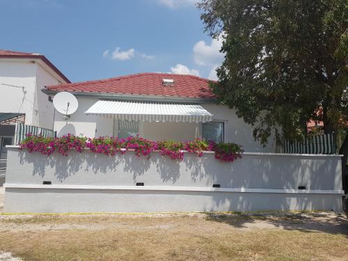 Apartments with parking space Seline, Paklenica - 6604