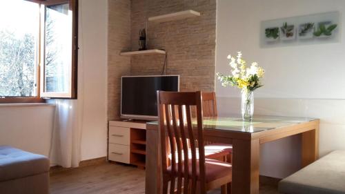 Apartments by the sea Seline, Paklenica - 6544