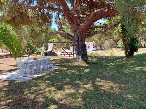 a table and chairs under a tree in a field at Monte do Pinheirinho in São Domingos