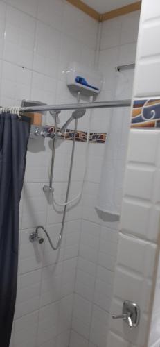 a bathroom with a shower with a sink and a shower at The Lush in Willemstad