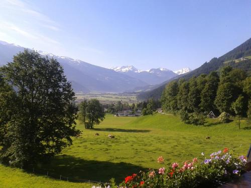 a green field with mountains in the background at Hotel Garni Romantik in Fügen