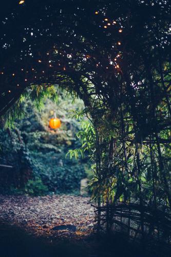 a tunnel with an orange in the middle of a forest at The Paddock Wildcamp in Perranporth
