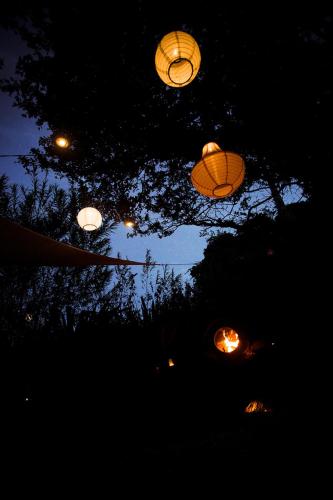 a group of lanterns hanging from a tree at night at The Paddock Wildcamp in Perranporth