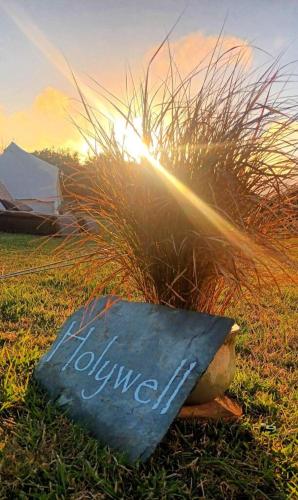 a sign sitting in the grass next to some tall grass at The Paddock Wildcamp in Perranporth