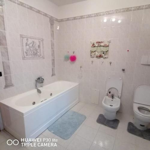a white bathroom with a tub and a toilet at Il Casale dell'Artista in Laino Borgo