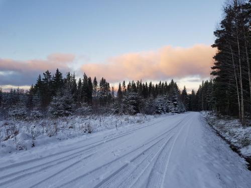 a snow covered road with trees on the side at Det lilla huset in Nora