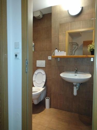 a bathroom with a toilet and a sink at Studio na horách in Cerny Dul