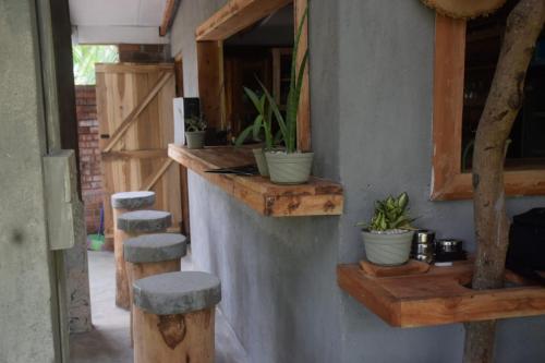 シギリヤにあるLa Dolce Vitaの壁に木製の棚と鉢植えの植物がある部屋