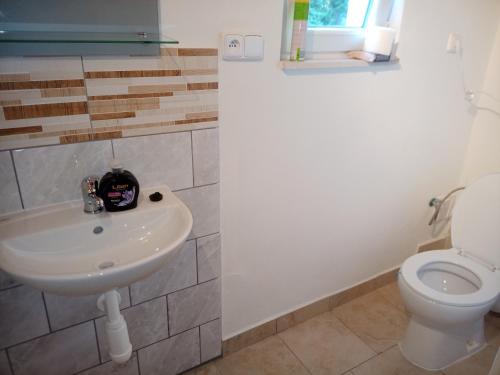 Koupelna v ubytování NA ČERVENE LOUCE relax-LIBA 5