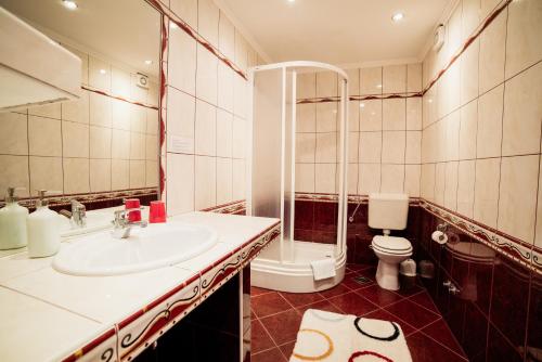 a bathroom with a sink and a shower and a toilet at Apartment Selce 5206a in Selce