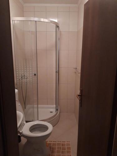 a bathroom with a shower and a toilet in it at Apartment Blaca 4899e in Maranovići