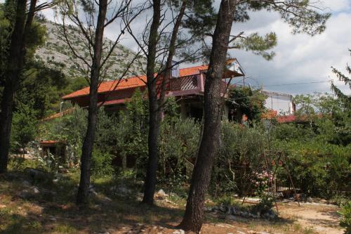Apartment Starigrad 6585b