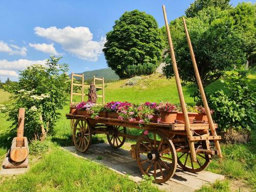 a wooden wagon filled with flowers in a field at Gîte de la Motte in Tavannes
