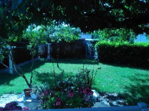 een achtertuin met een tuin met groen gras en bloemen bij MAISON A 10MIN DU ZOO DE BEAUVAL in Noyers-sur-Cher