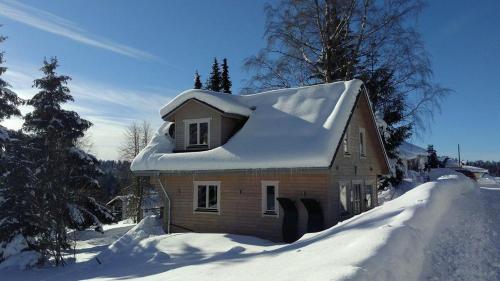 a house with snow on the roof in the snow at Chalets zum Latschen in Mauth