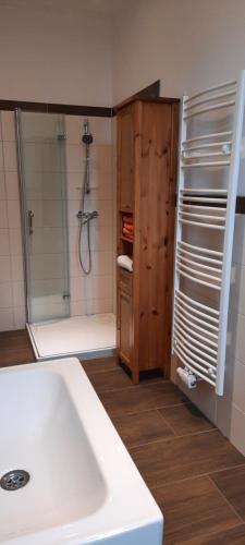 een badkamer met een douche en een witte wastafel bij Ferienwohnung Landidylle in Wörpen
