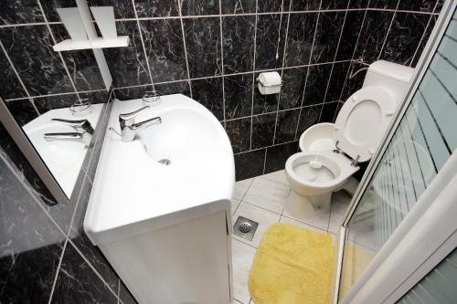 a bathroom with a sink and a toilet at Studio Selce 4801a in Selce