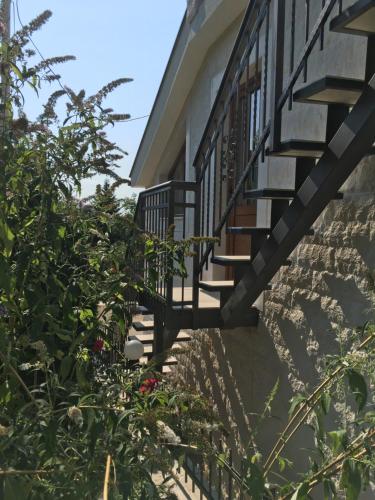 a staircase leading up to a building with plants at Villa Rakhimov in Herceg-Novi