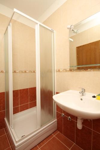 a bathroom with a shower and a sink at Double Room Metajna 6487d in Metajna