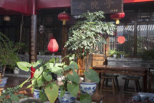 a room filled with lots of plants and a table at The Great Wall Courtyard Hostel in Yanqing